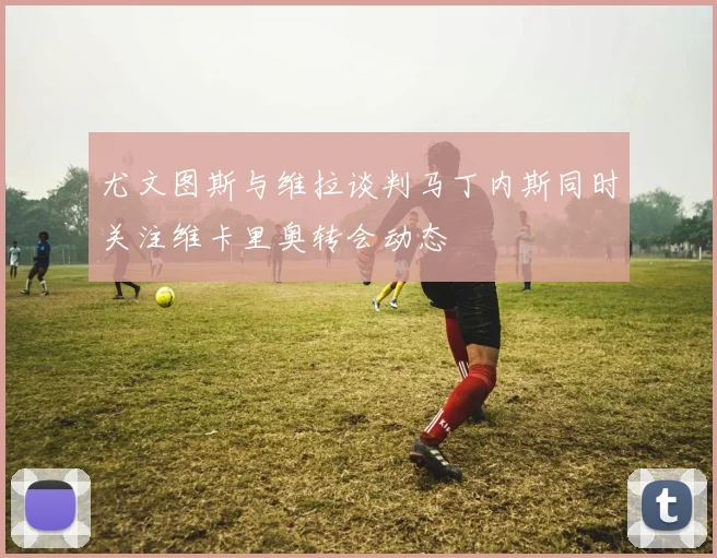 尤文图斯与维拉谈判马丁内斯同时关注维卡里奥转会动态